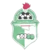 卡利杰星队徽