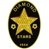 钻石星尘队徽
