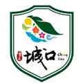 城口原乡队队徽