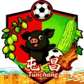屯昌队队徽